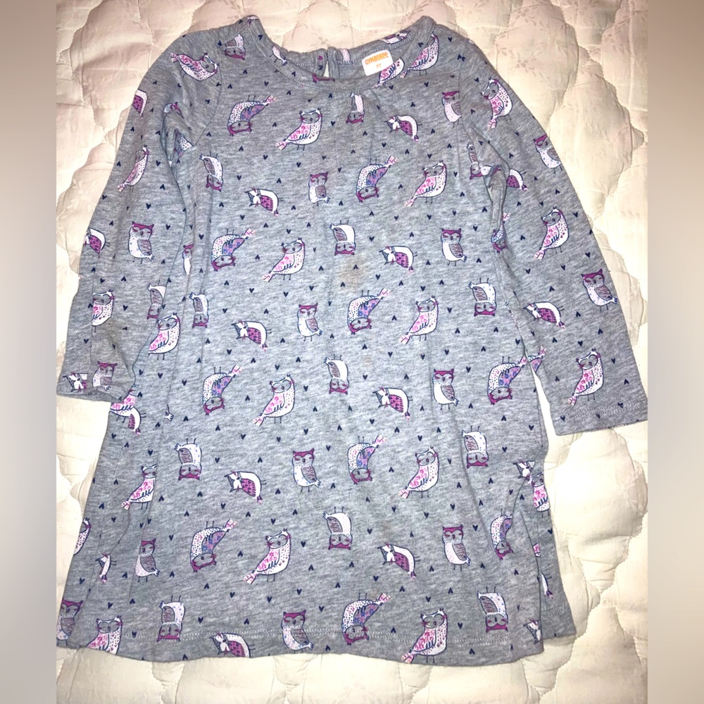 Goregeous Owl Dress by Gymboree Size 3T